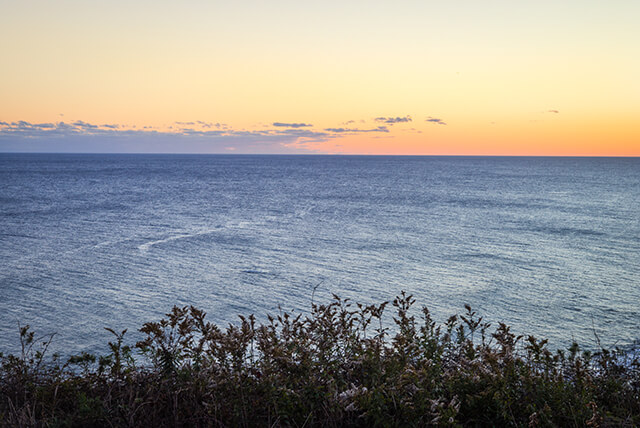fieldbysea