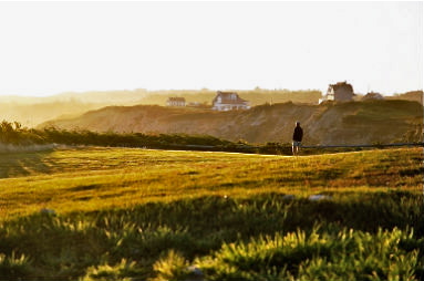 goldenwalking